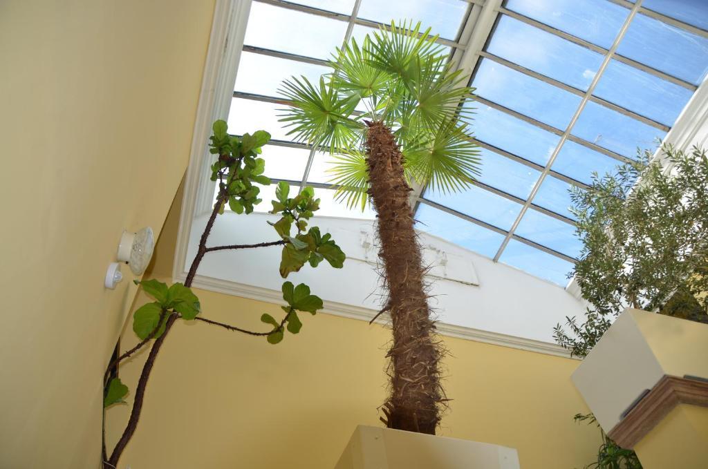 Hotel Labut Vrchlabí Extérieur photo